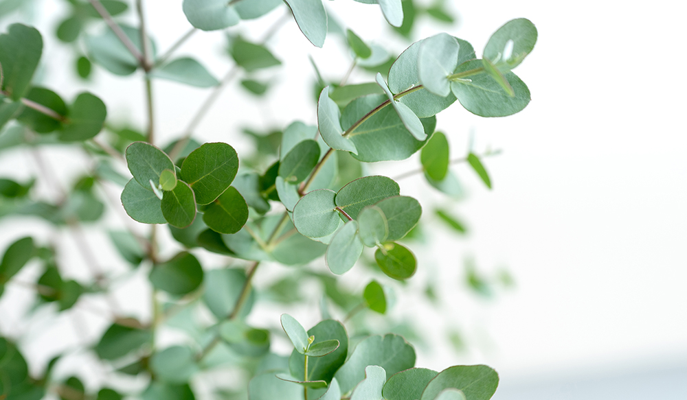 人生に、ちょっとの余白とユーモアを