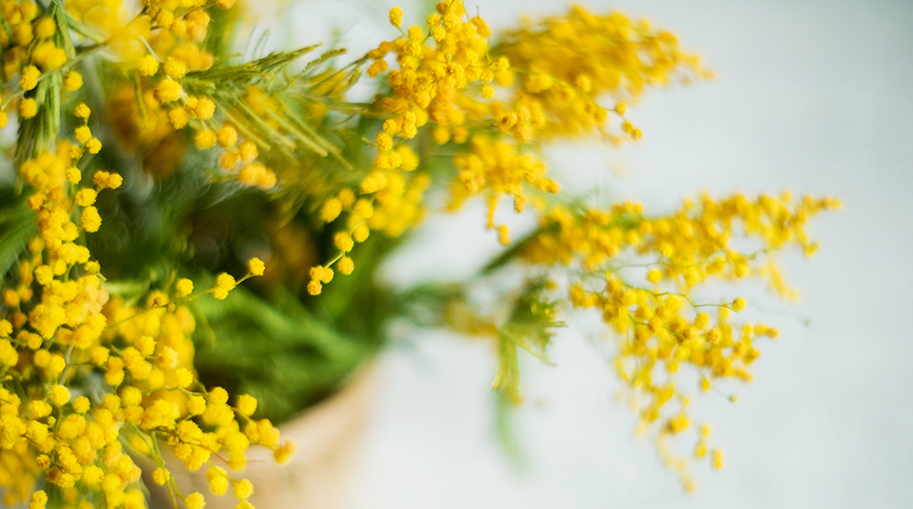 皆さまへのお約束ごと