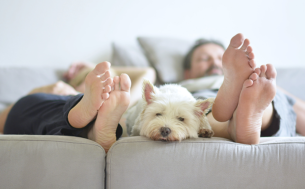 TSUGIのフルオーダーとは